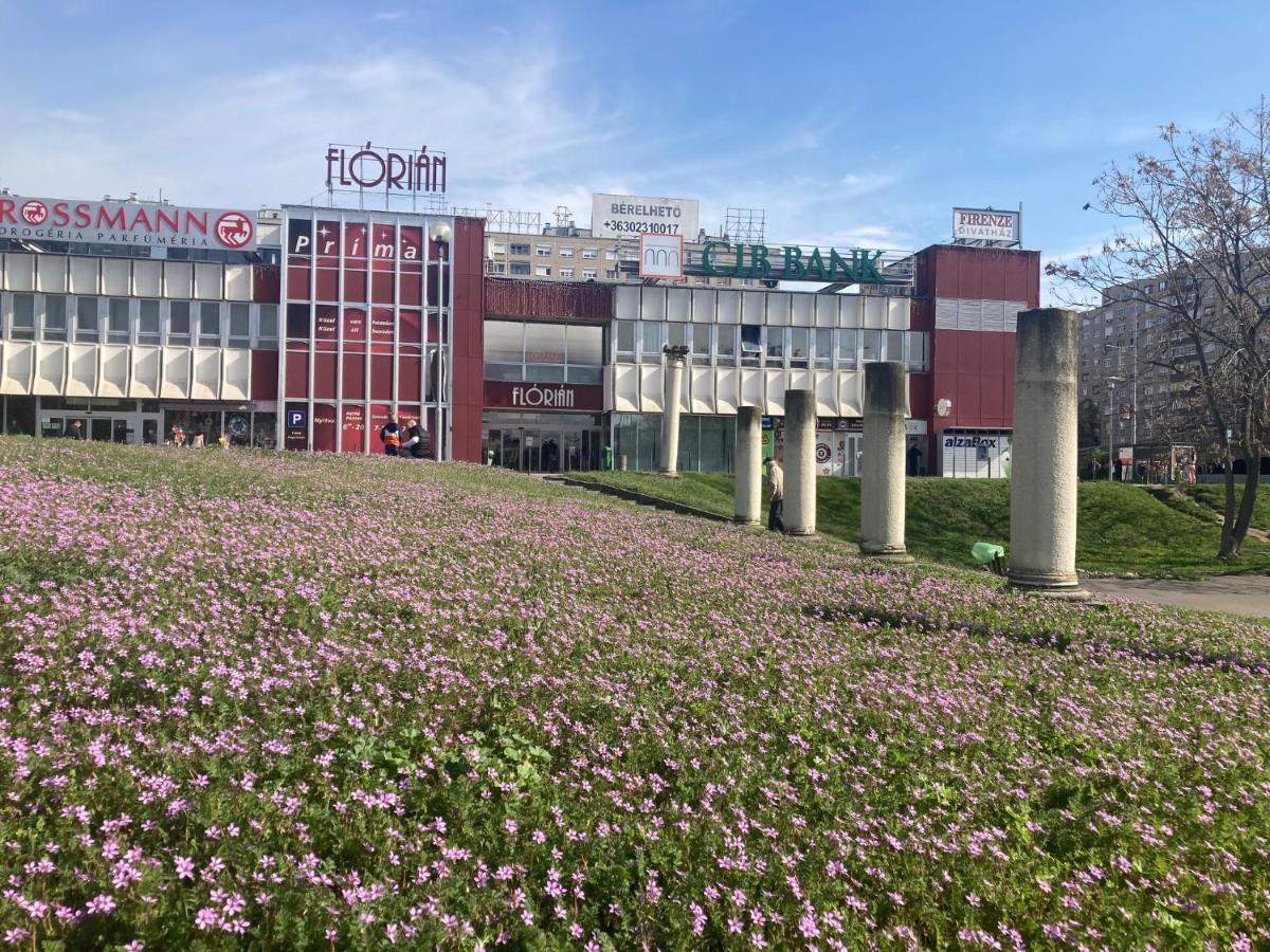 Poppy Flower Apartment บูดาเปสต์ ภายนอก รูปภาพ